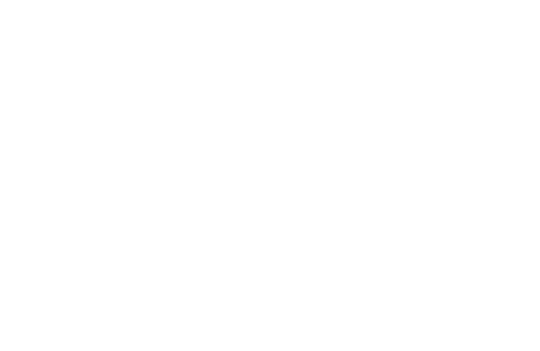 Spirit of 2012 logo