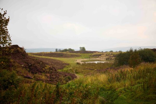 A yorkshire moorland scene showing a pond, heather, grass and bushes. The weather is overcast.