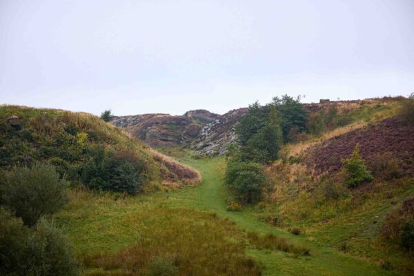 A yorkshire moorland scene showing heather, grass and bushes.