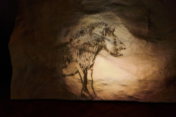 A projection of an animal against a cave wall.
