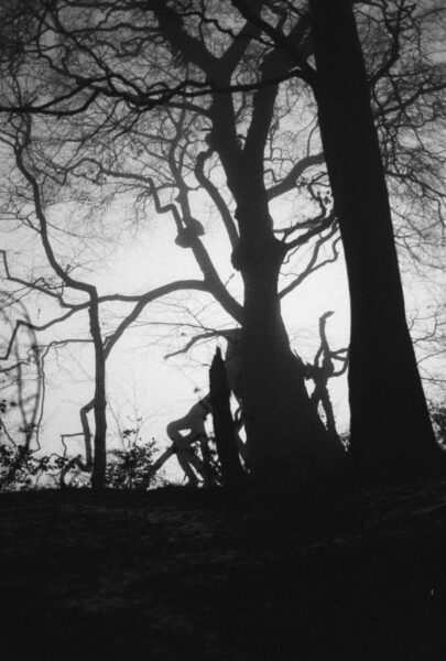 A black-and-white photograph of foggy trees at Chellow Dean in Bradford.