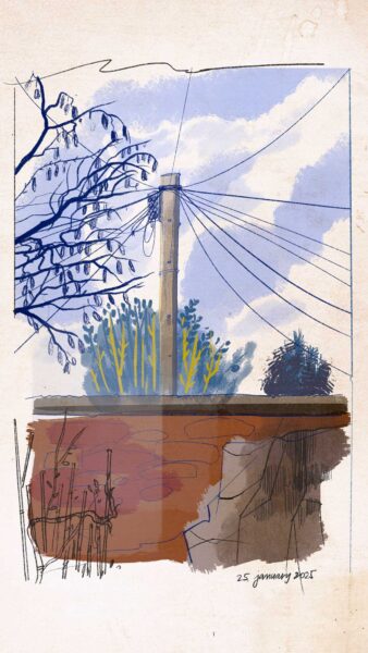 A drawing of a wall with bushes on the other side and a wooden pole with electrical lines.