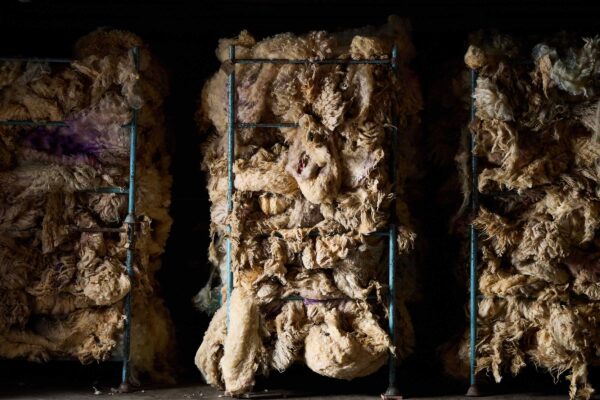 Bales of wool