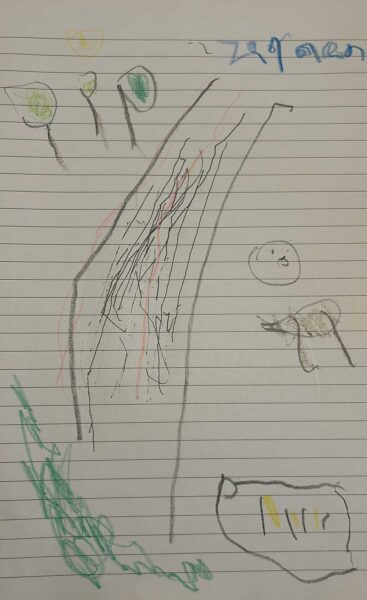 Children's drawing on lined paper, three trees, with path in the middle of the page and animals!