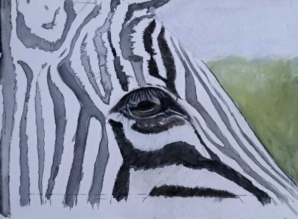 Close up drawing of a zebras eye