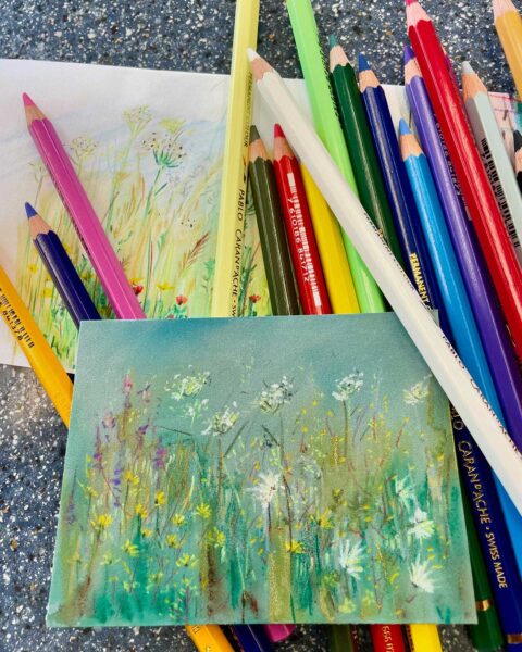 Drawing of small pretty flowers on top of a bunch of colourful pencils