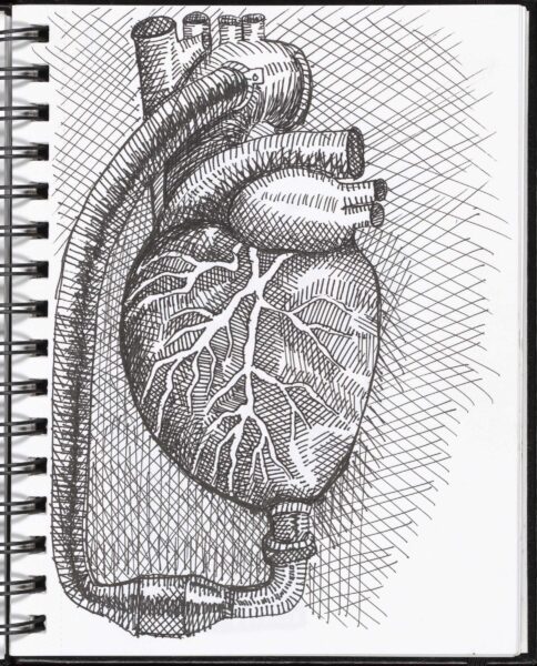 A black line drawing of a heart, by artist Jason Wilsher-Mills.