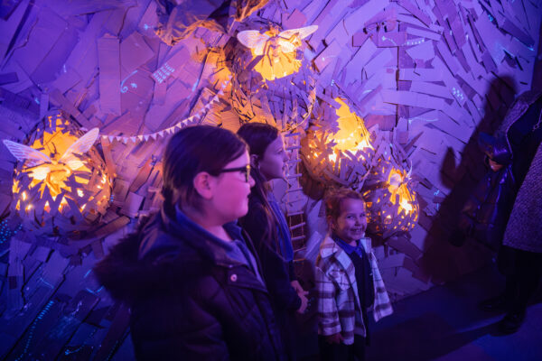 Three young girls smiling in a cardboard enchanted world, with three cardboard fairies on the walls glowing in their nests.