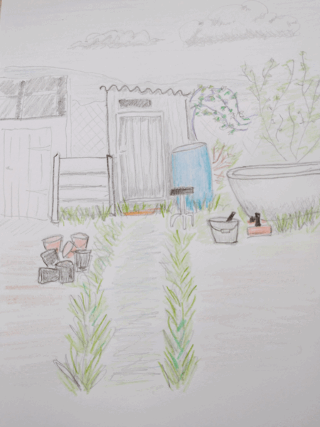 Pencil drawing of a garden