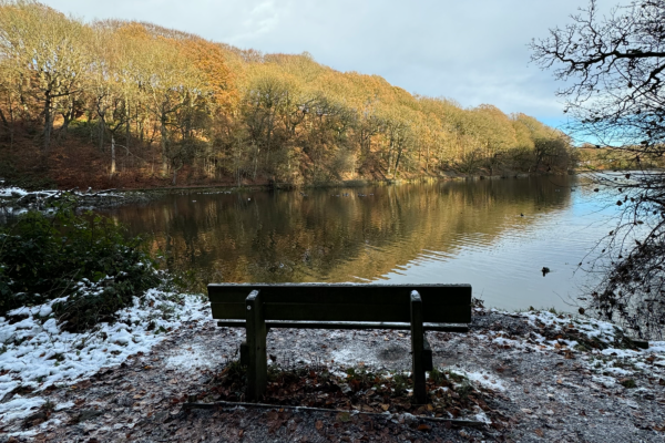 Bench at Chellow Dene