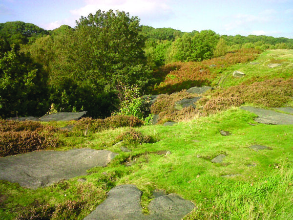 Dales Highway - Shipley Glen outdoors
