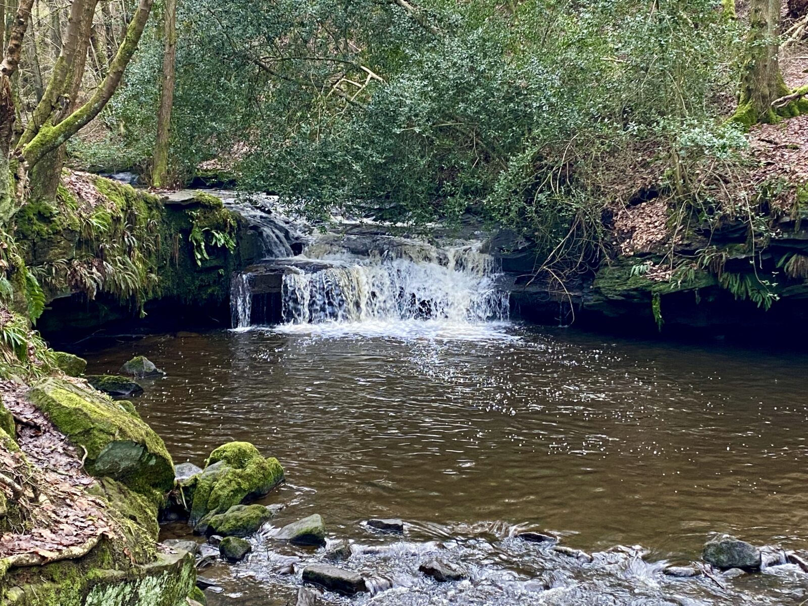 Goit Stock Waterfall Woods Walk Bradford 2025 Goit Stock Waterfall Woods Walk Bradford 2025