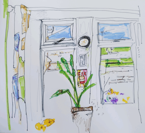 Drawing of a plant infront of a window showing to outside
