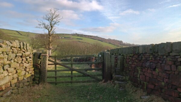 outdoor gate in the fields