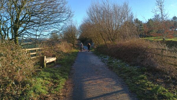 Dog walkers on an outdoor path surrounded by fields