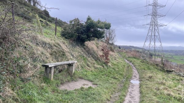 Bench in Wilsden, on a grassy path