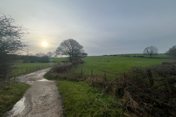 Tong Valley Black Carr Woods image