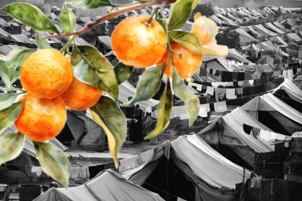 A black and white photo of refugee tents is overlaid with colourful illustrations of an orange branch.