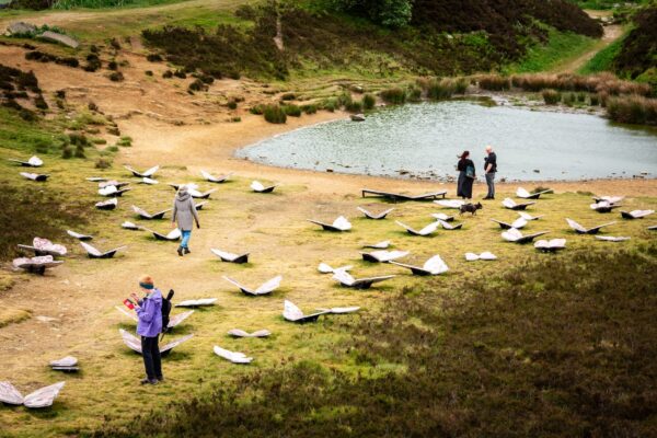 People on the moors looking at multiple large butterflies across the field
