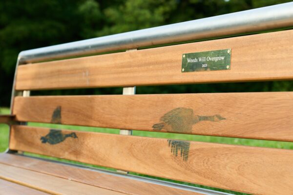 birds on a bench