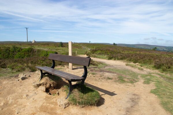 a bench in the moors