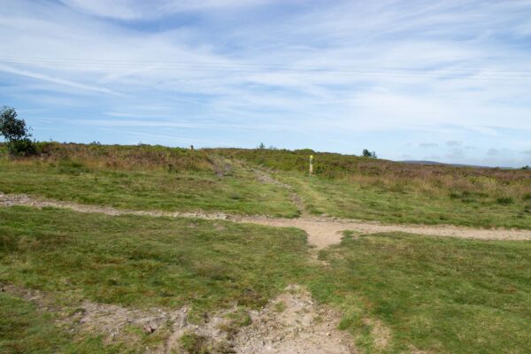 a countryside path on the moors