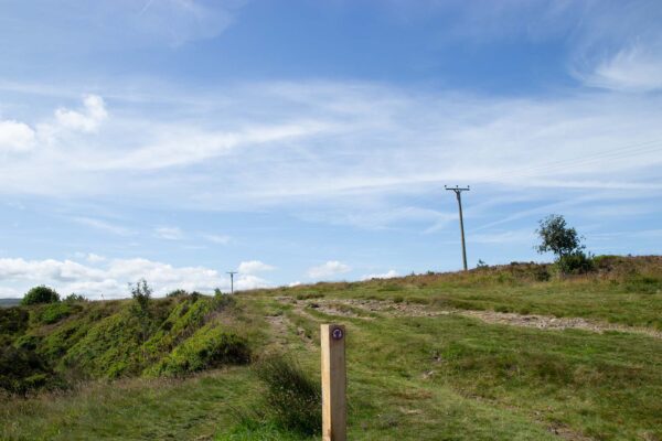 grassy moorlands