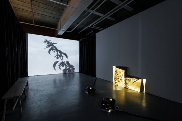 Joanna-Byrne-Past-Lives-2025-OUR-TURN_-Practice-Bradford-Yorkshire-Contemporary-Photo_-Jules-Lister