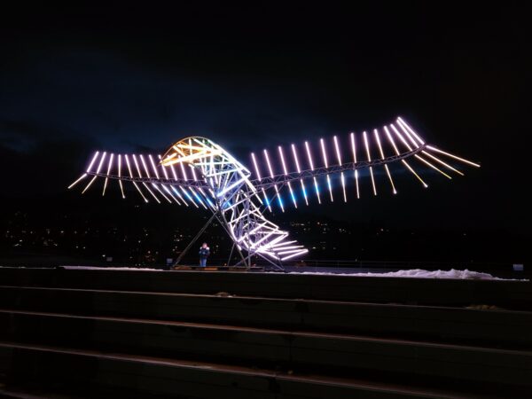 Large iluminous bird in lights