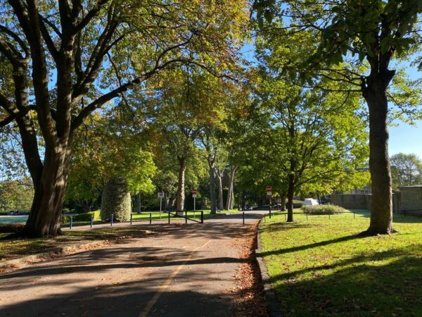A tree lined road in a park. There is a barrier or metal fence at the end of this short road.