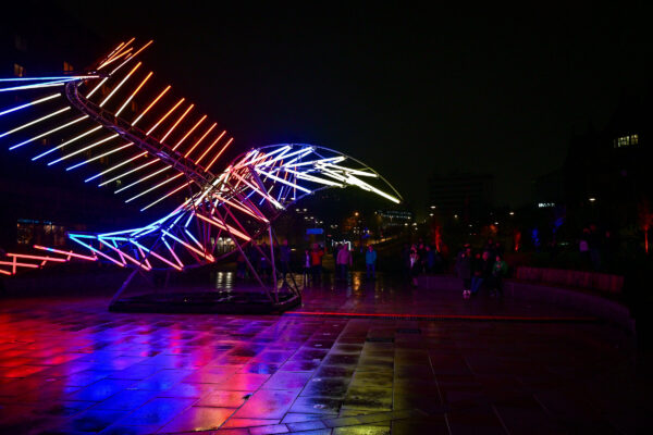 A large bird in colourful led lights.