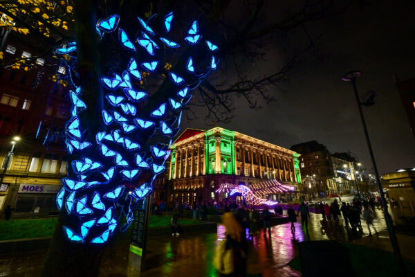 Blue led light up butterflies on a tree trunk