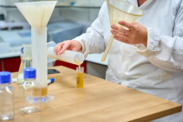 Beer poured into a test tube.