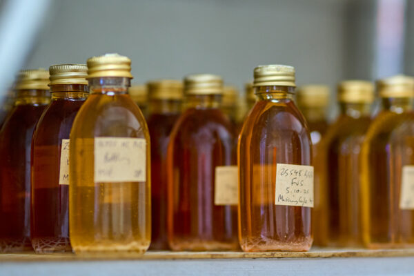 Small glass bottles with golden bottle tops and a label.